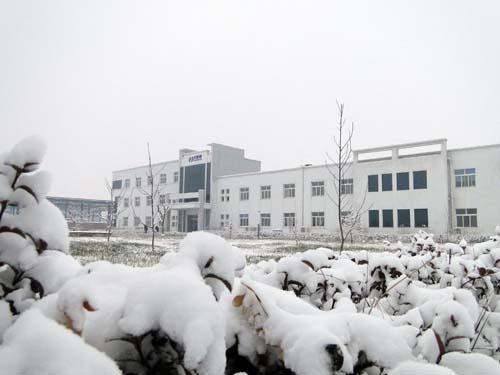 2012-12-21济南市喜降瑞雪